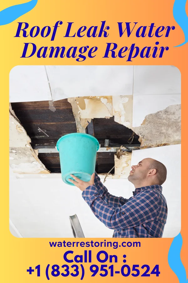 Roof Leak Water Damage Repair in Centralhatchee, GA